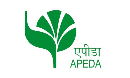 APEDA Logo