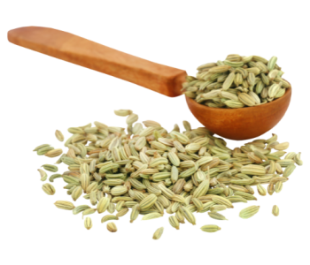 Fennel Seeds